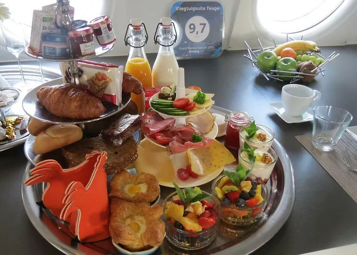 Vliegtuigsuite 투이그